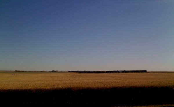Autumn prairie