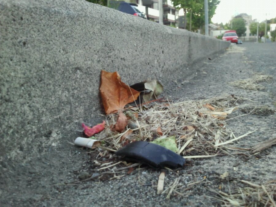 Detritus in the gutter beside a sidewalk