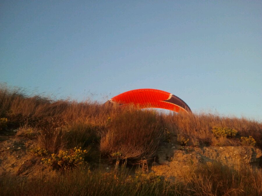 red parachute at Dallas road Victoria