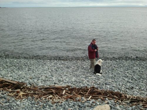 A random dog waits for my brother, Dale, to throw something for him